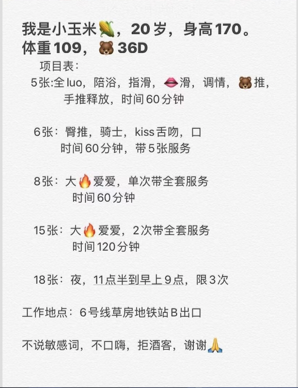 朝阳大胸小玉米